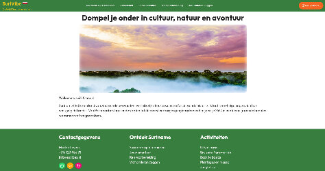 Strategic advice and implementation of a WordPress template for surivibe.nl